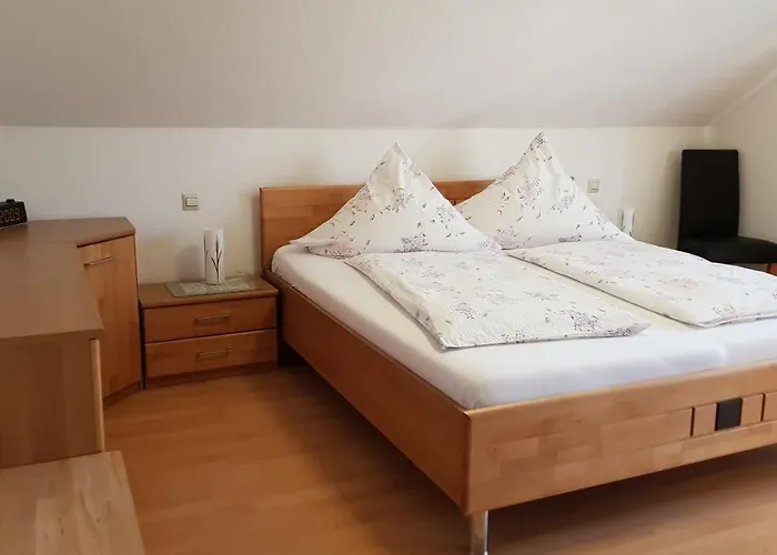 فيرينفونونغ هيرنبيرغ *