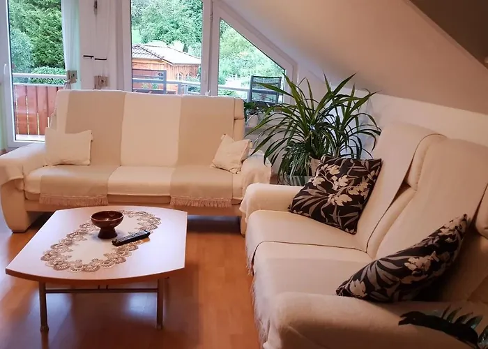 فيرينفونونغ هيرنبيرغ شقة بادن بادن