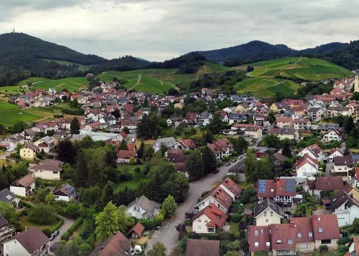 فيرينفونونغ هيرنبيرغ