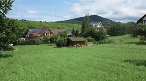 فيرينفونونغ هيرنبيرغ *